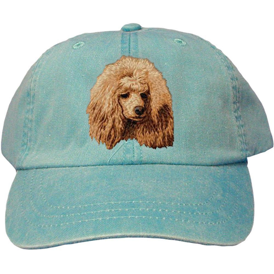 Embroidered Baseball Caps Turquoise  Poodle DM449