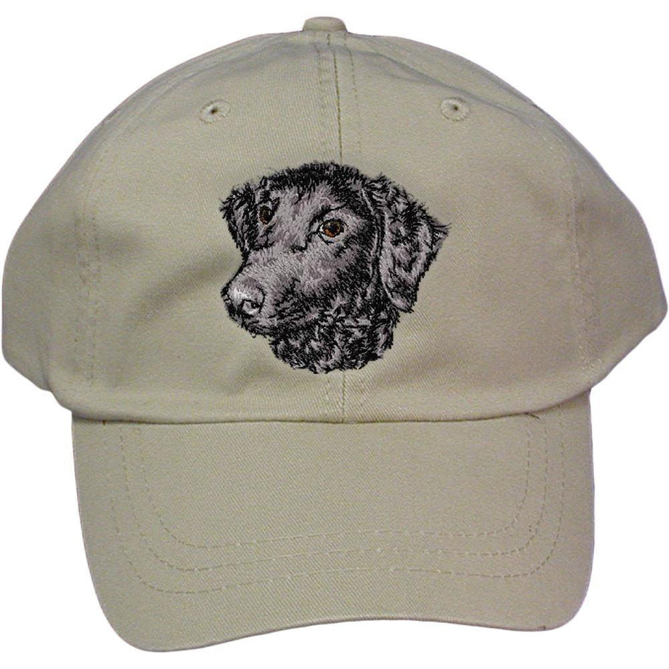Embroidered Baseball Caps Grey  Curly Coated Retriever D137