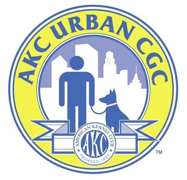 Akc on sale cgc urban