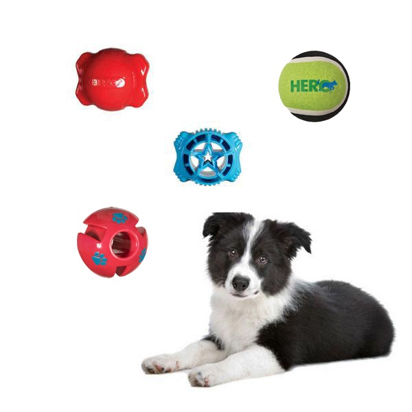 Akc dog toys hotsell