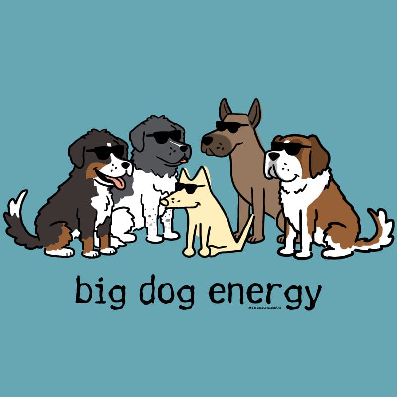 Big Dog Energy - Ladies Curvy V-Neck Tee