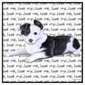 Border Collie Puppy Love Text - Women's V-Neck T-Shirt