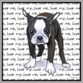 Boston Terrier Love Text - Women's V-Neck T-Shirt