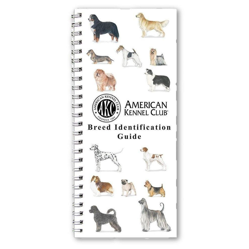 Breed Identification Guide AKC Shop