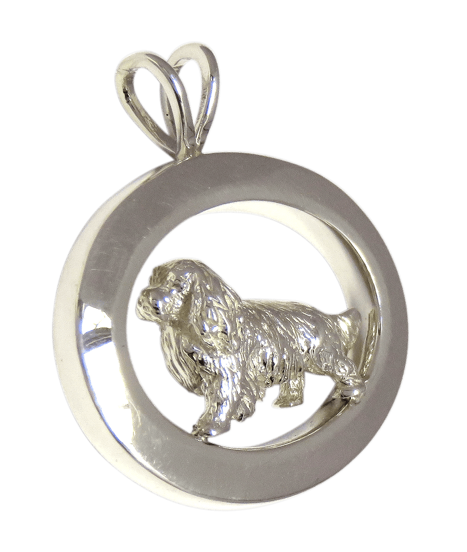 Cavalier king outlet charles jewelry