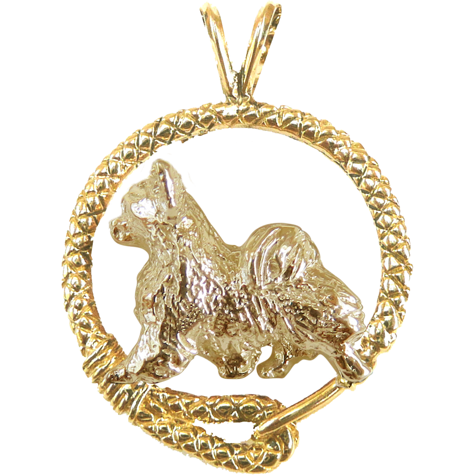 Long Coat Chihuahua Jewelry AKC Shop