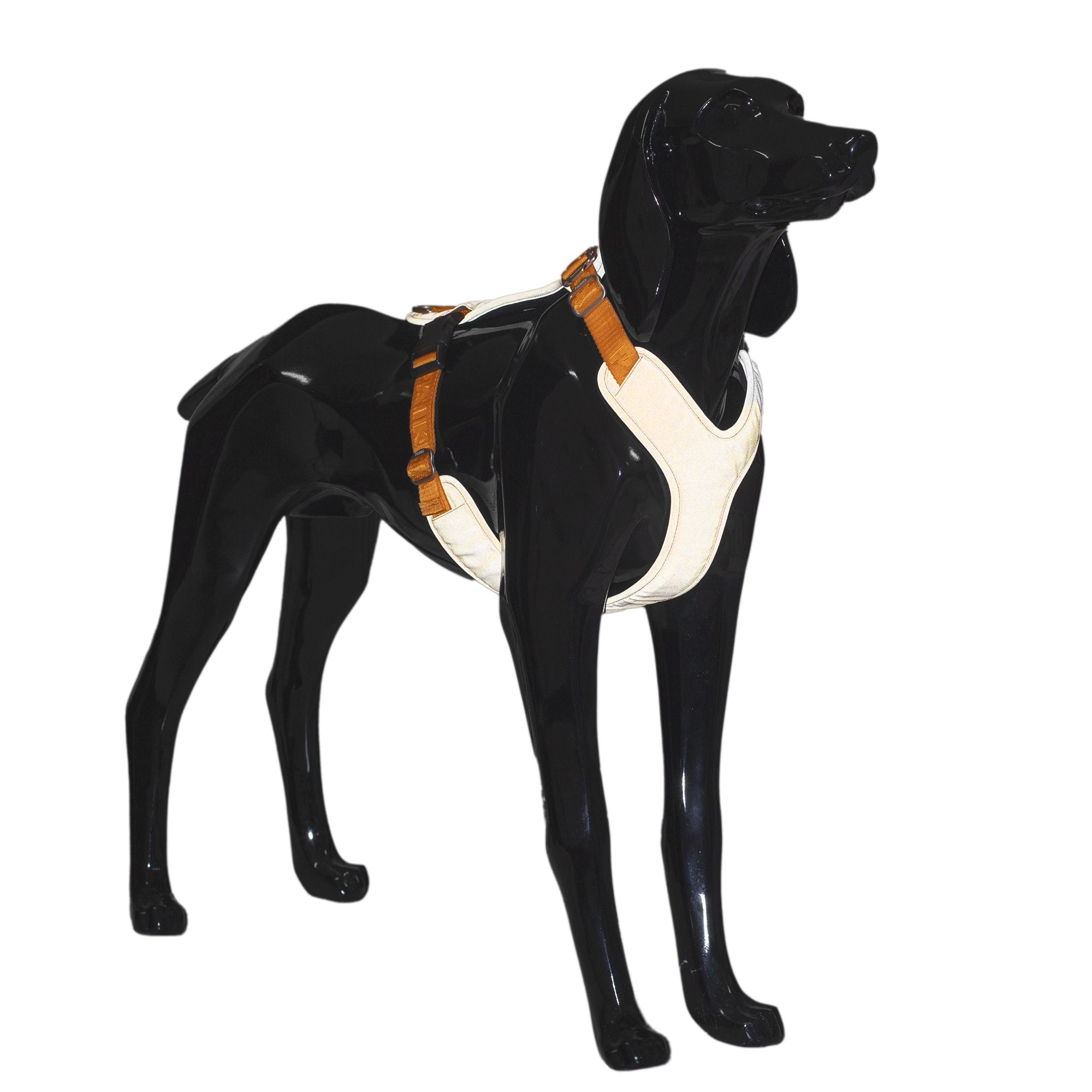 Akc shop dog harness