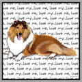Collie Love Text - Women's V-Neck T-Shirt
