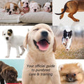 New Puppy Guide (Digital Download)