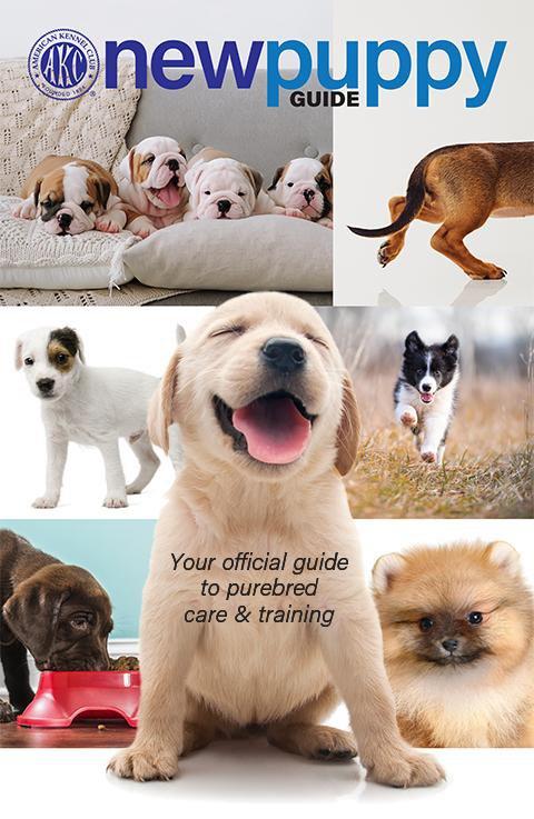 New Puppy Guide (Digital Download)