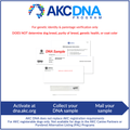 AKC DNA Kit
