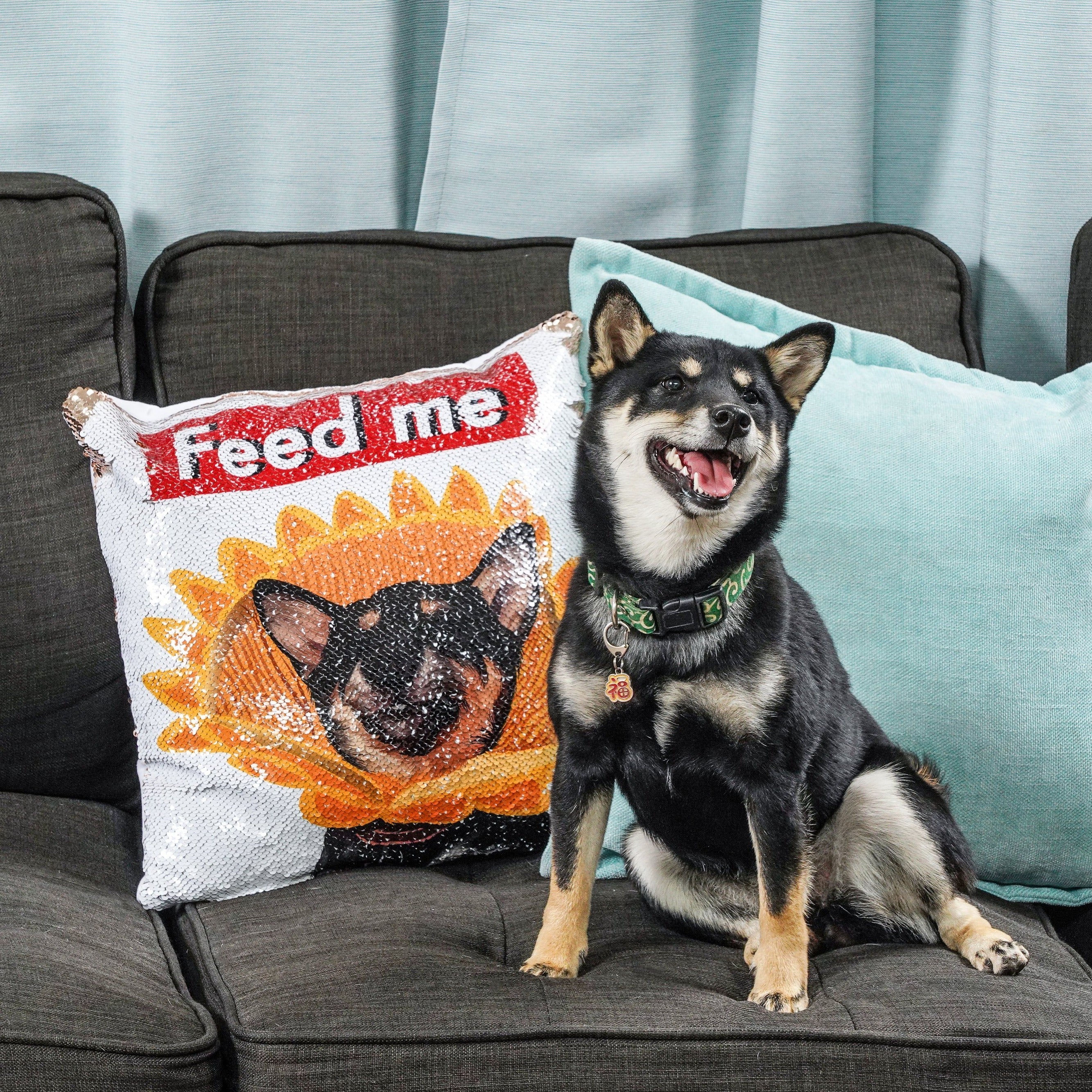 Customizable hotsell dog pillow