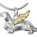 Dachshund, Longhaired, Angel Charm