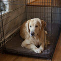 Washable Crate Pad