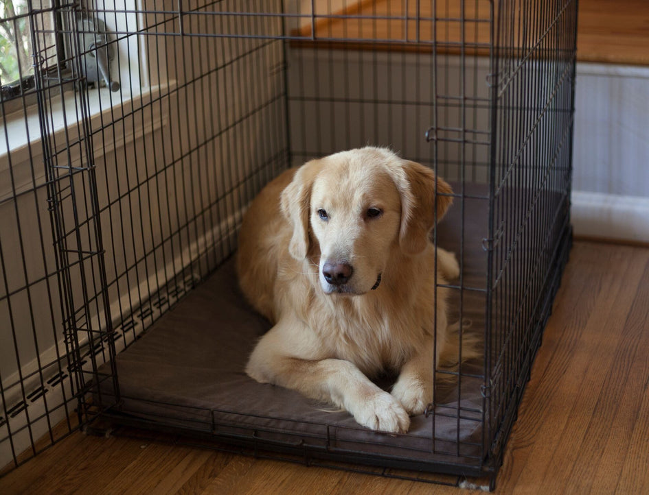 Washable Crate Pad