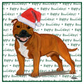 American Staffordshire Terrier (Red) Happy Howlidays Text - Women's V-Neck T-Shirt
