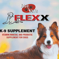 Fido-Vite Flexx Supplement