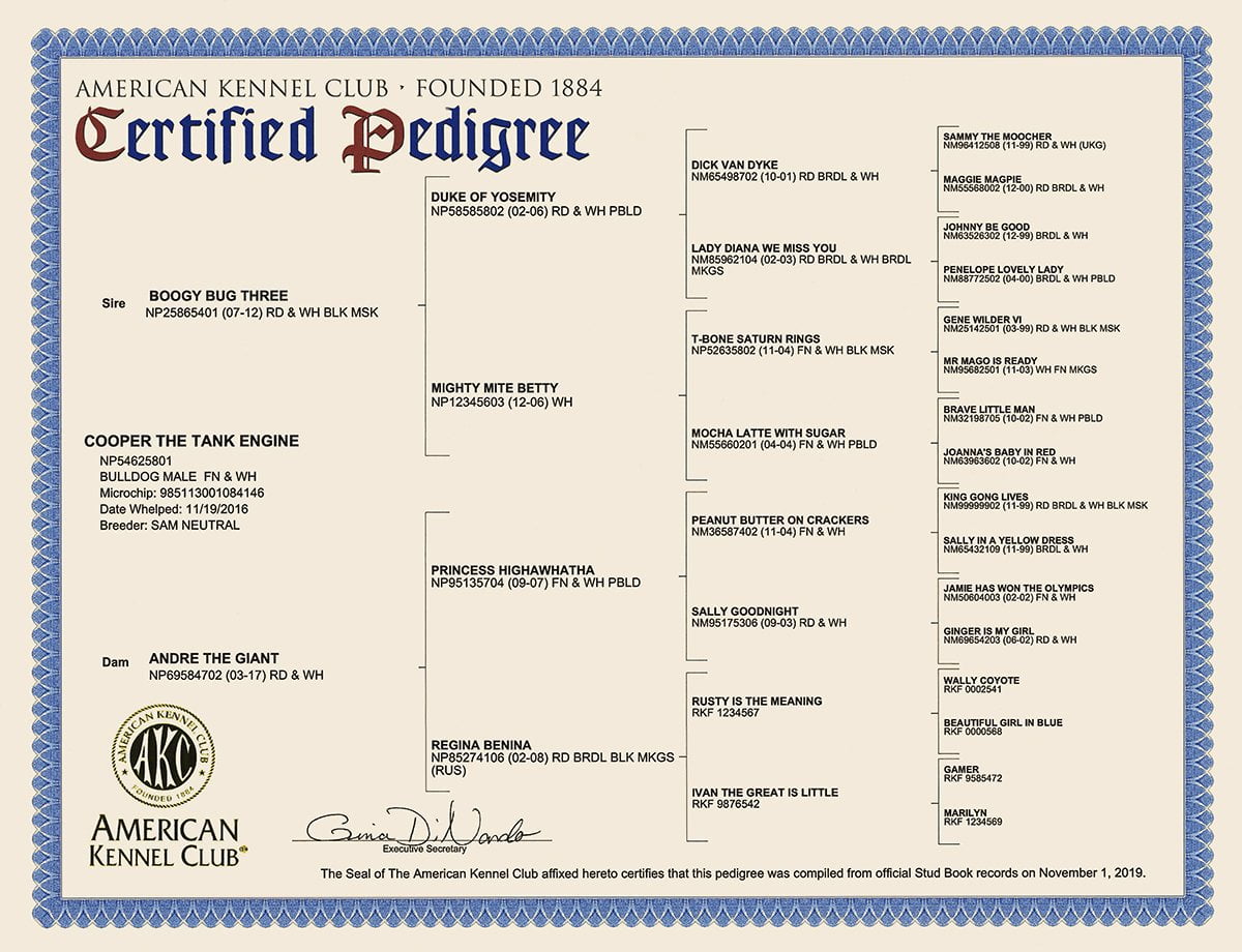 Sam's 2024 club pedigree