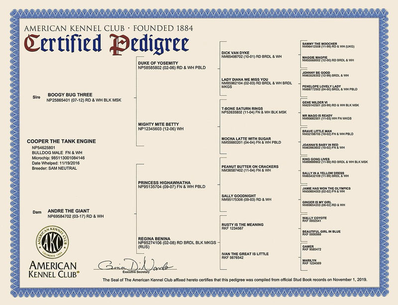 AKC Certified Pedigrees