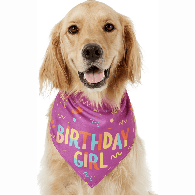 Frisco Birthday Girl Dog Bandana, One Size