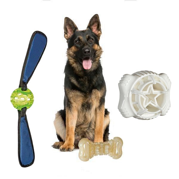 5 Types of Dog Toys – American Kennel Club