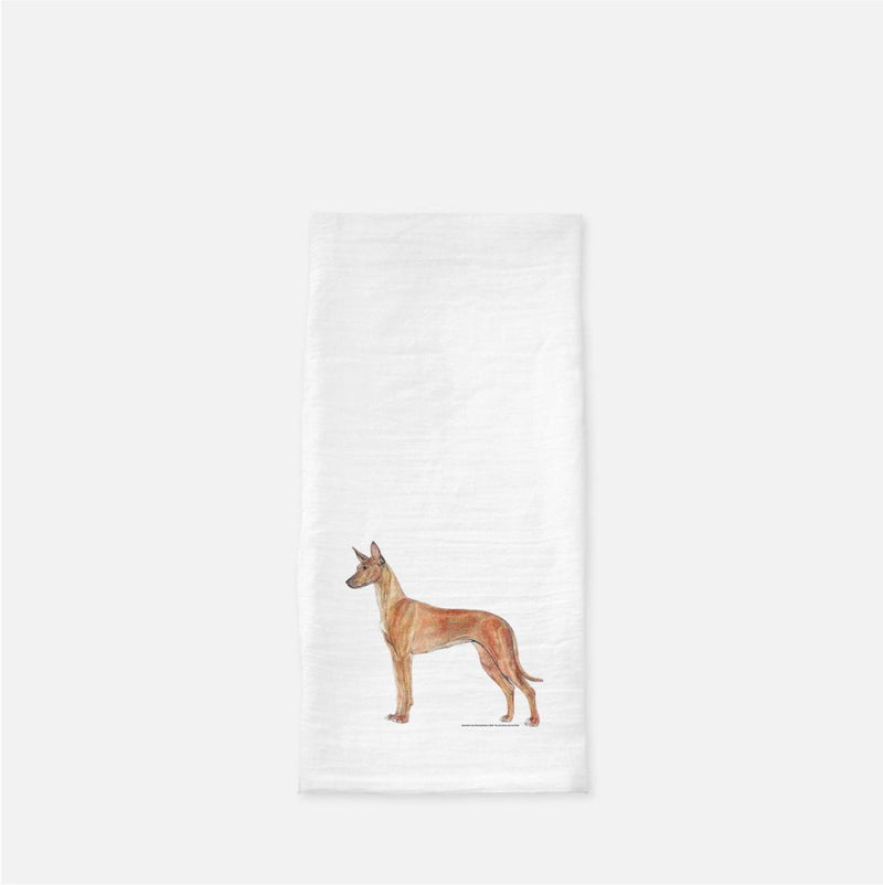 Pharaoh Hound Tea Towel
