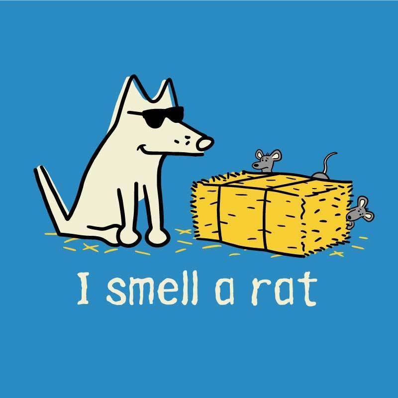 I Smell A Rat - Ladies Night T-Shirt | AKC Shop