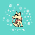 I'm a Catch - Ladies T-Shirt V-Neck