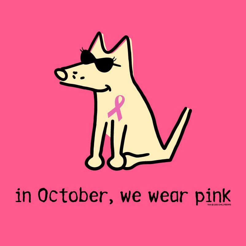 In October We Wear Pink - Ladies T-Shirt V-Neck