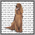 Irish Setter Love Text - Women's V-Neck T-Shirt