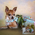 Hand-Painted Pet Portrait