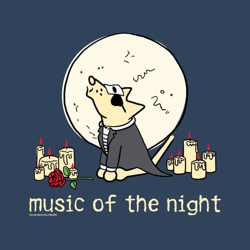 Music Of The Night - Ladies T-Shirt V-Neck