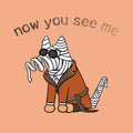 Now You See Me - Lightweight Tee