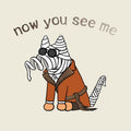 Now You See Me - Ladies T-Shirt V-Neck