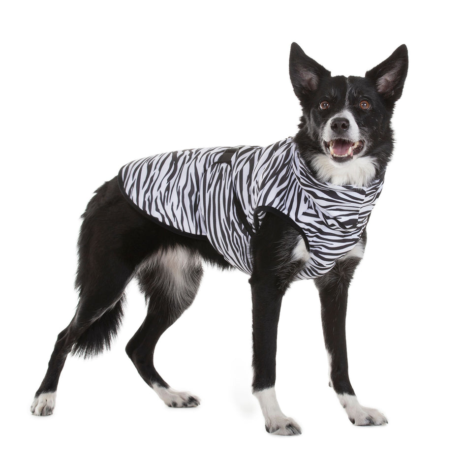 PAIKKA Cool & Bug Dog Vest