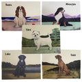 Boxer Placemats
