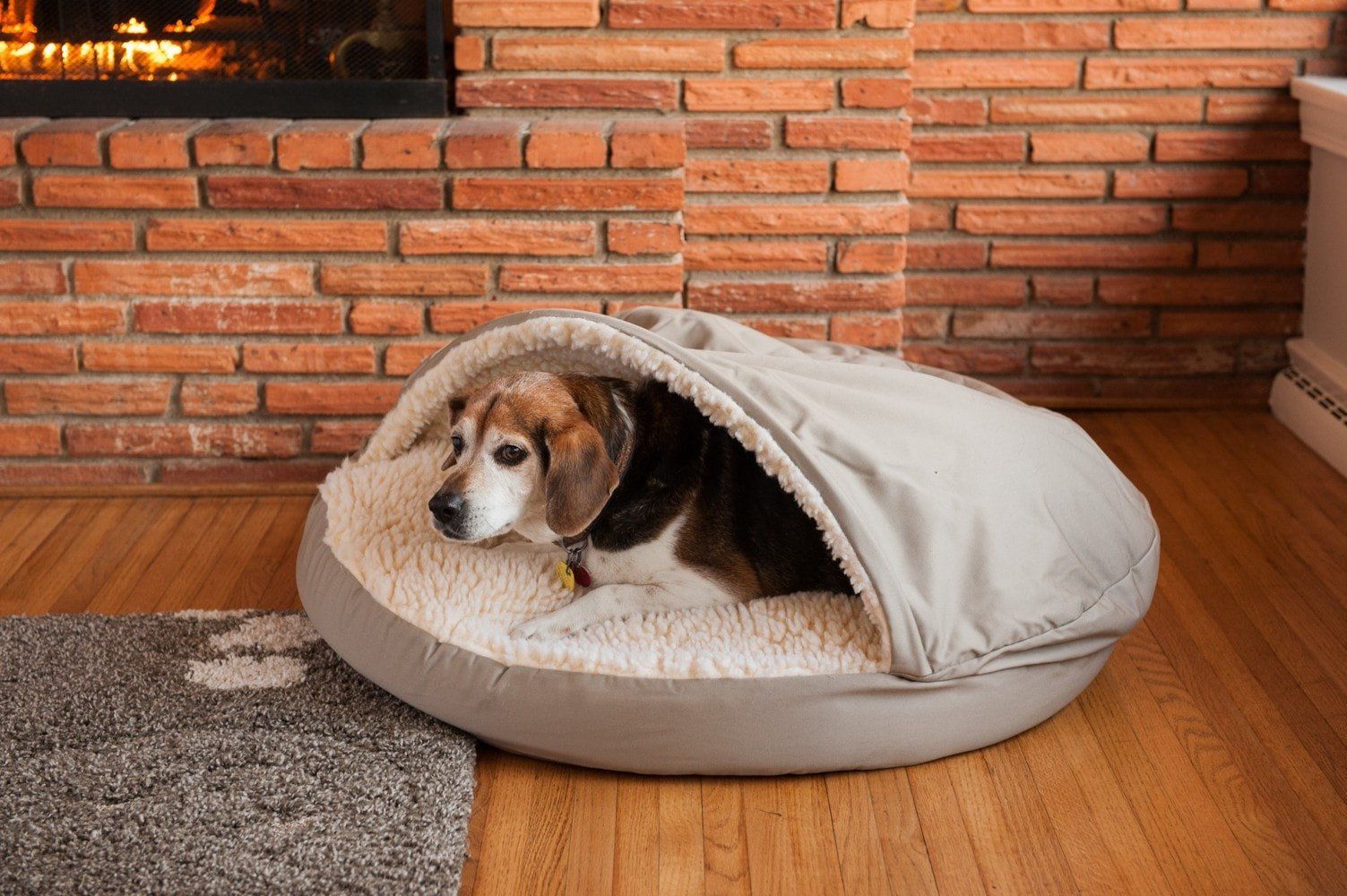 Orthopedic Cozy Cave® Dog Bed AKC Shop