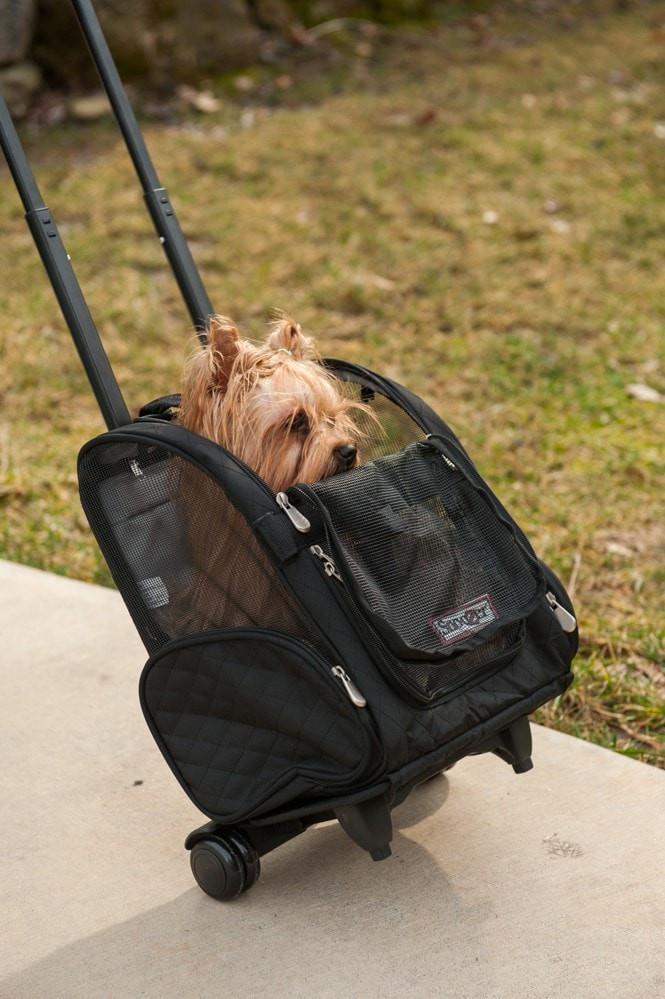 Roll Around Travel Dog Carrier Backpack