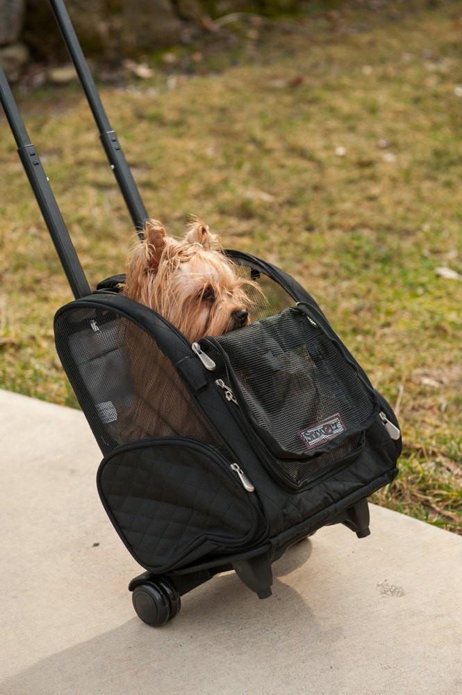 Roll Around Dog Carrier Backpack AKC Shop