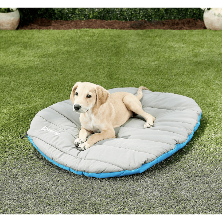 Chuckit travel dog deals bed