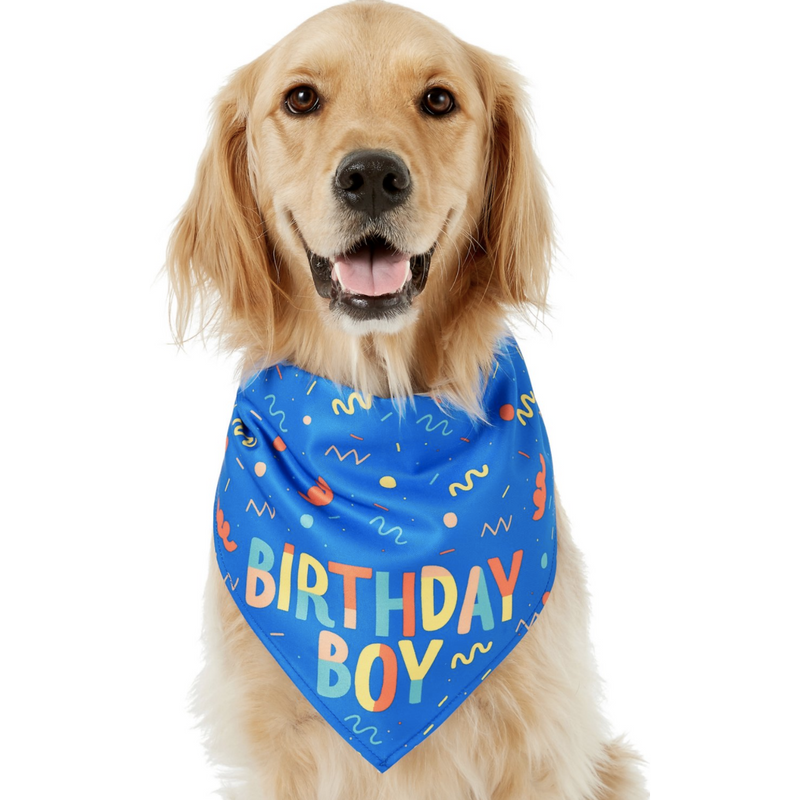 Frisco Birthday Boy Dog Bandana, One Size