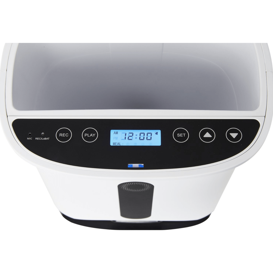 Arf pet feeder hot sale