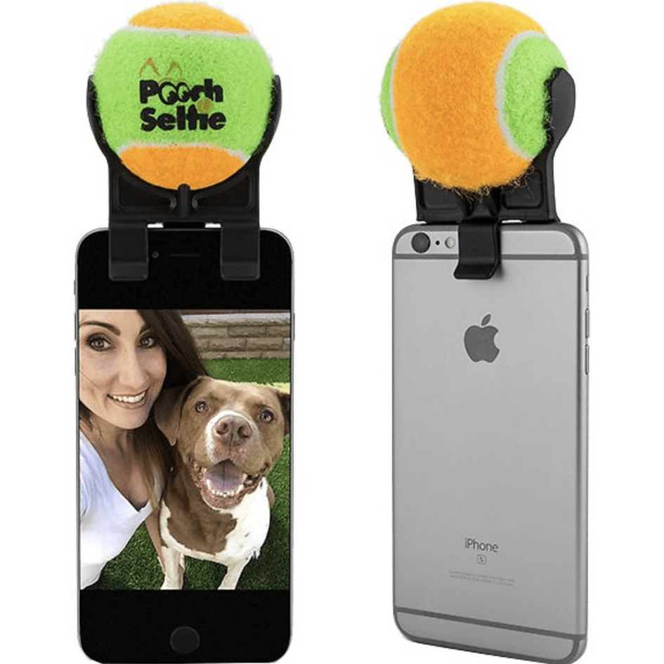 Tennis ball dog clearance selfie