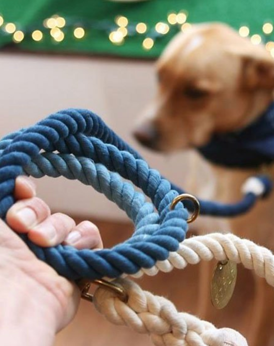 Found My Animal Adjustable Ombre Rope Dog Leash, 7-ft