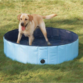 Cool Pup Splash About Dog Pool