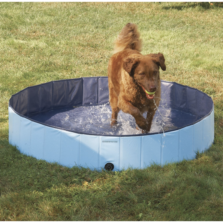 Cool Pup Splash About Dog Pool