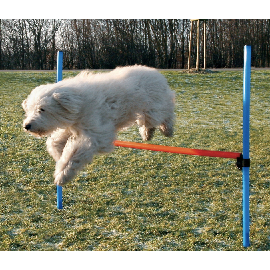 Trixie Agility Dog Training Hurdle