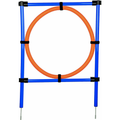 Trixie Agility Dog Training Ring