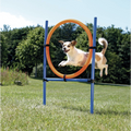 Trixie Agility Dog Training Ring