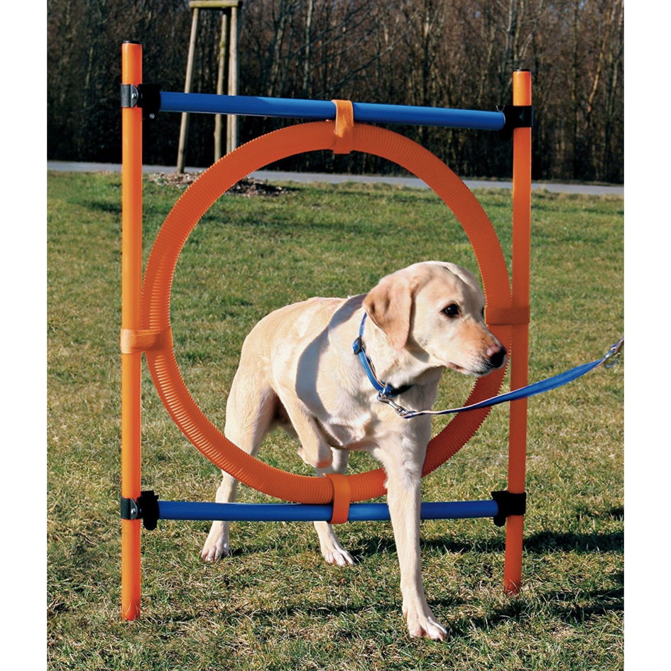 Trixie Agility Dog Training Ring